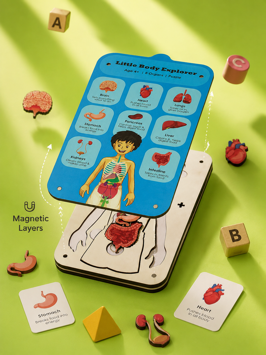 Little Body Explorer| Human Body Anatomy Puzzle | Montessori Learning Toy for Kids 4-8 Years
