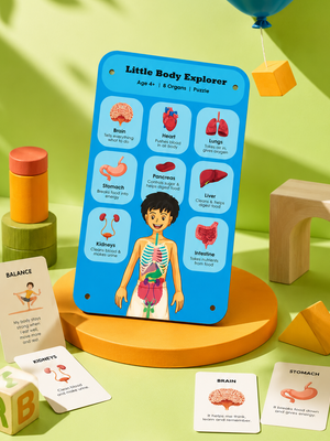 Little Body Explorer| Human Body Anatomy Puzzle | Montessori Learning Toy for Kids 4-8 Years