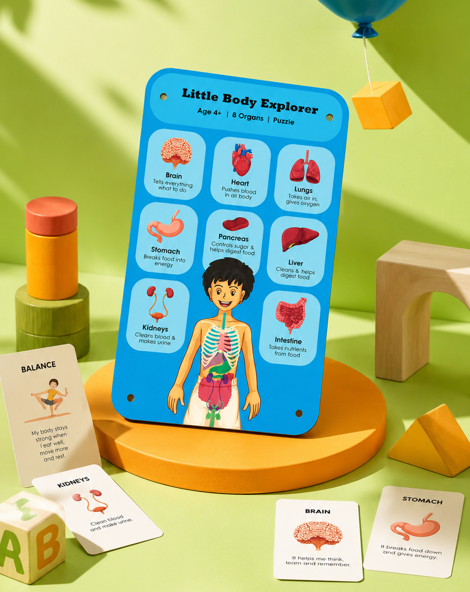Little Body Explorer| Human Body Anatomy Puzzle | Montessori Learning Toy for Kids 4-8 Years