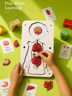 Little Body Explorer| Human Body Anatomy Puzzle | Montessori Learning Toy for Kids 4-8 Years