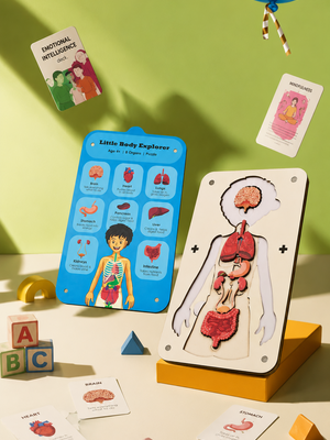 Little Body Explorer| Human Body Anatomy Puzzle | Montessori Learning Toy for Kids 4-8 Years