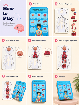 Little Body Explorer| Human Body Anatomy Puzzle | Montessori Learning Toy for Kids 4-8 Years